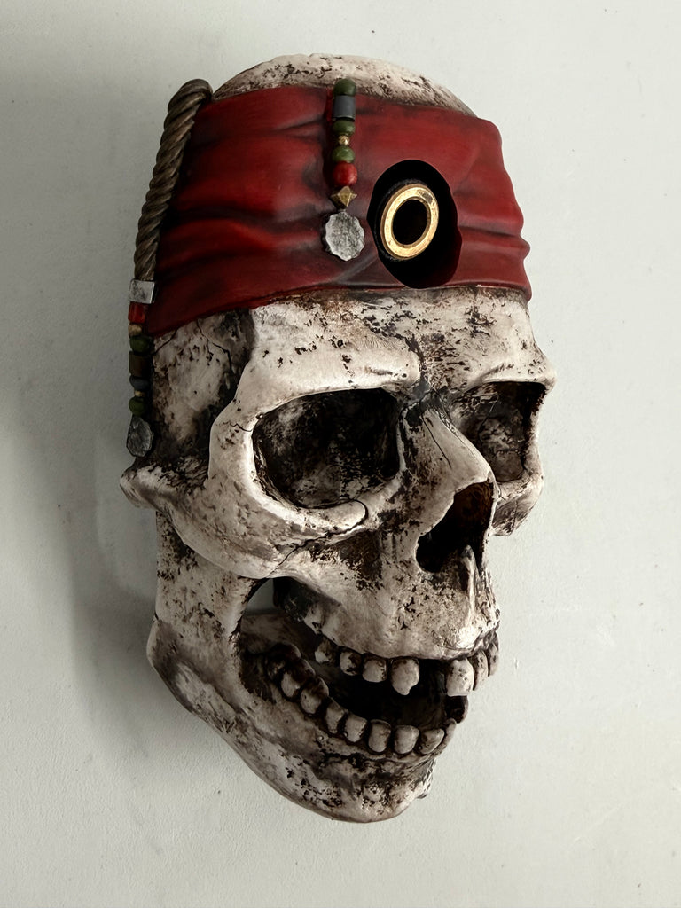 Captain Skeleton Shooter Housing Stern Pinball Mod – Back Alley Creations