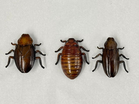 3pc Cockroach Set